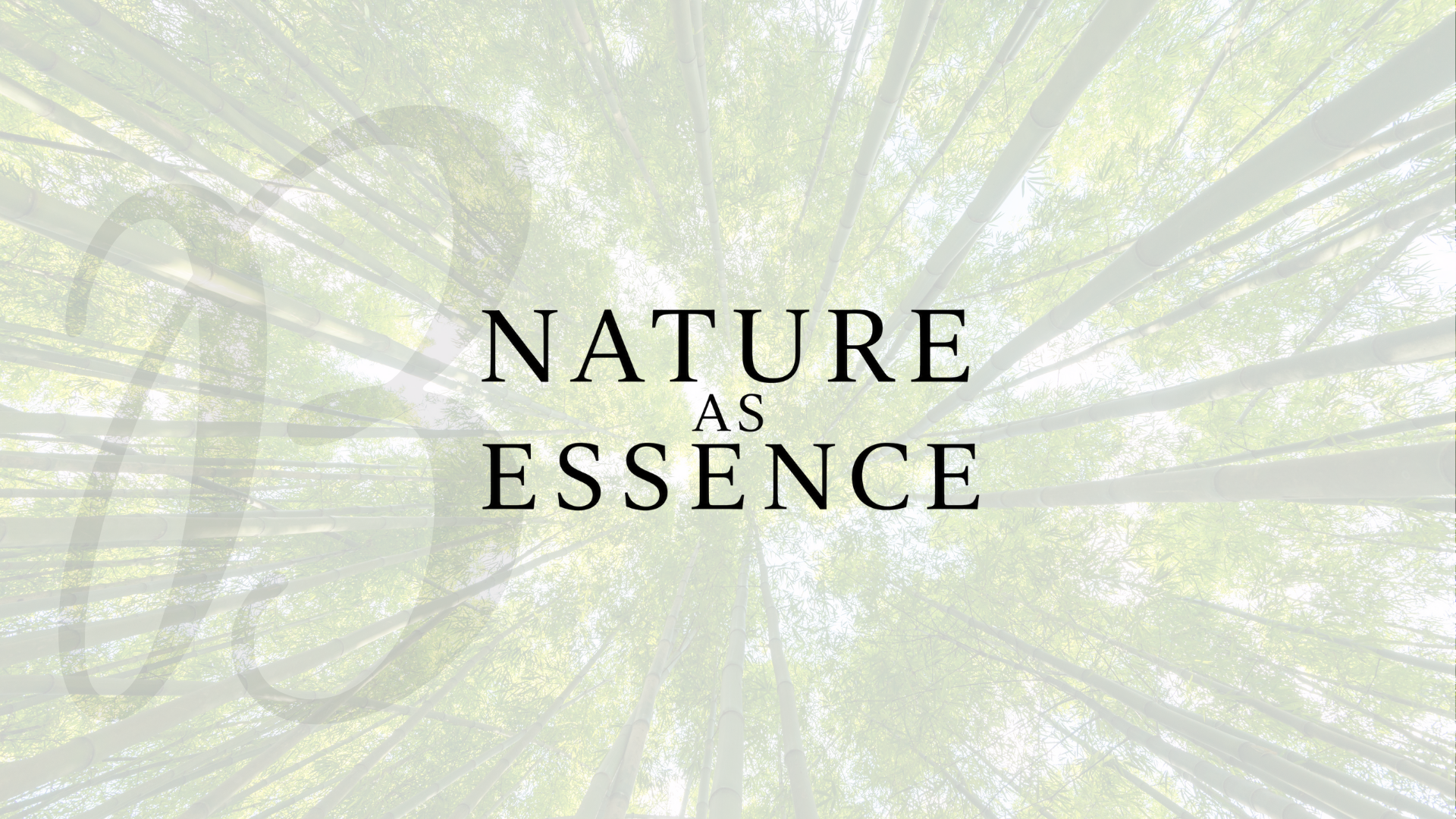 Nature as Essence