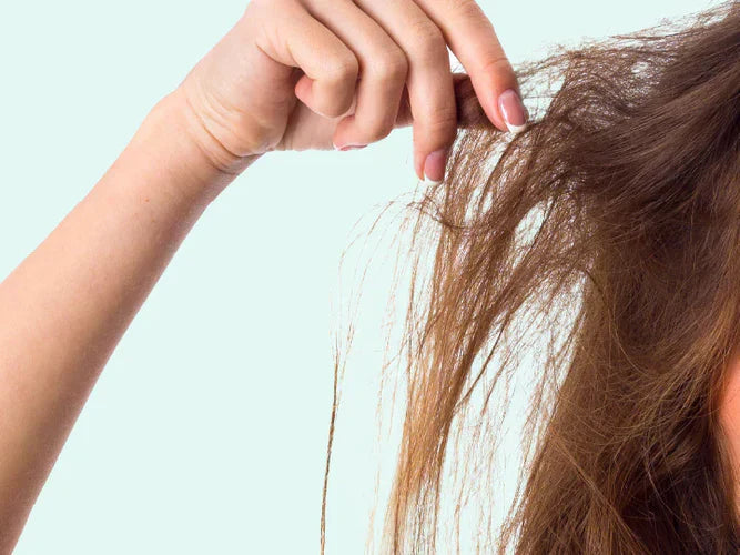 Droog en beschadigd haar diep herstellen